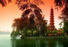 Куда можно вложить деньги, чтобы они приносили доход с прибылью миллион долларов в год Куда можно вложить деньги