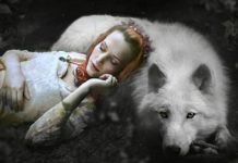 Почему нельзя фотографировать спящих людей: предрассудки и неопровержимые факты почему нельзя фотографировать спящих людей ответы