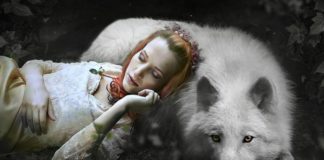 Почему нельзя фотографировать спящих людей: предрассудки и неопровержимые факты почему нельзя фотографировать спящих людей ответы