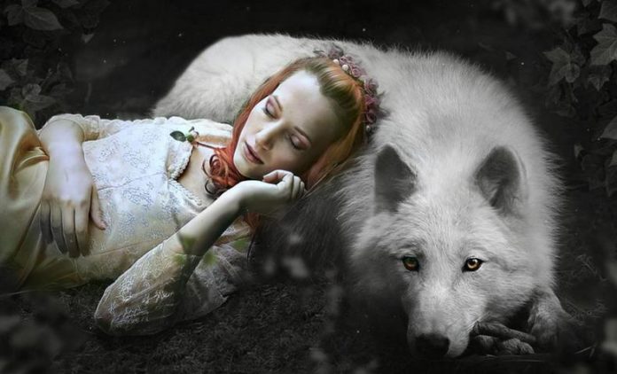 почему нельзя фотографировать спящих людей ответы