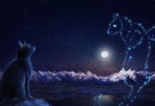 Гадания на кофейной гуще — толкование будущего через линии и знаки Судьбы Гадания на кофейной гуще толкование